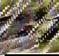 Qdos Arts - Accommodation Sunshine Coast