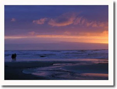 Aldermere Estate - Accommodation Sunshine Coast 6
