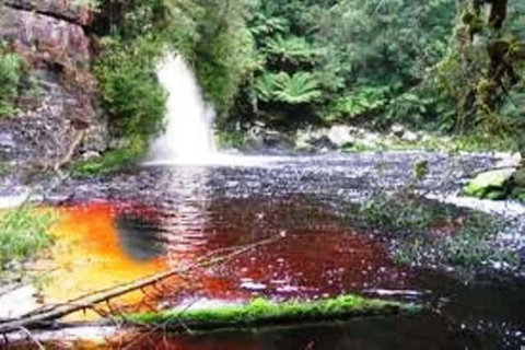 Aldermere Estate - Accommodation Sunshine Coast 3