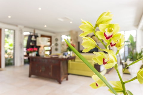 Alaya Verde - Accommodation Sunshine Coast 1