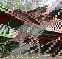 Barrington Wilderness Cedar Lodge Accommodation - Accommodation Sunshine Coast