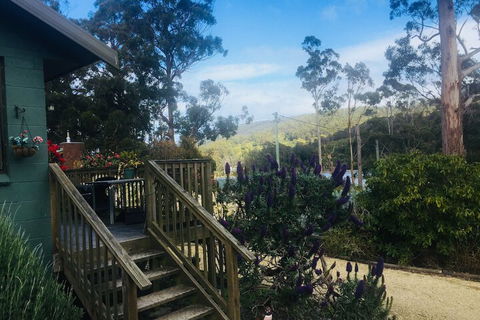 Classic Cottages Port Arthur - Accommodation Sunshine Coast 2
