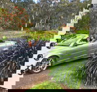 Valley Farm Vineyard Cottages - Accommodation Sunshine Coast