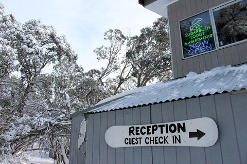 Sugarbush Lodge & Apartments - Accommodation Sunshine Coast 0