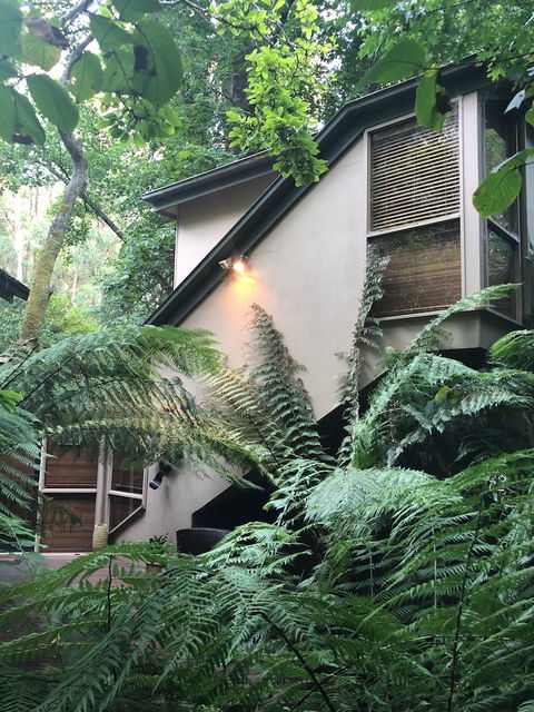 Linden Gardens Rainforest Retreat - Accommodation Sunshine Coast 2