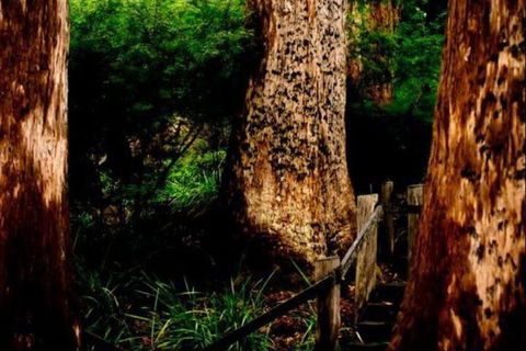 Billa Billa Farm Cottages - Accommodation Sunshine Coast 2