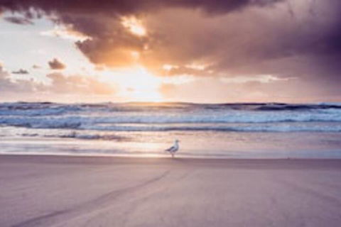 Blue Waters Motel - Accommodation Sunshine Coast 0