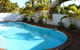Champelli Palms - thumb 2