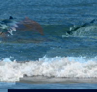 Summerhills Retreat Byron Bay - Accommodation Sunshine Coast