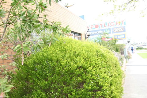 Carnegie Motor Inn - Accommodation Sunshine Coast 0