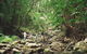 Mungumby Lodge - Cooktown - thumb 1