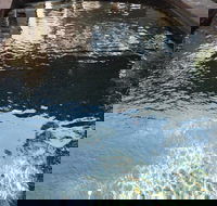 Town  Country Motel - Accommodation Sunshine Coast