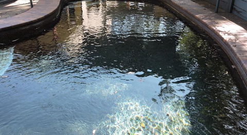 Town & Country Motel - Accommodation Sunshine Coast 0