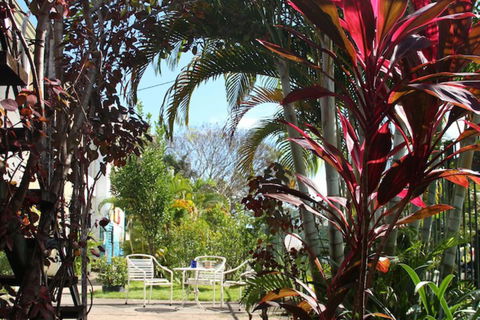 Asylum Cairns Hostel - Accommodation Sunshine Coast 3