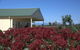 Milawa Muscat Retreat B&B - thumb 3