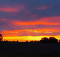 Centretown Motel Nagambie - Accommodation Sunshine Coast