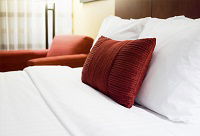 Forest Echo Cottage - Accommodation Sunshine Coast 0