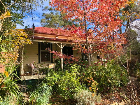 Sinnamons Cottage - Accommodation Sunshine Coast 5