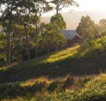 Bundle Hill Cottages - Accommodation Sunshine Coast