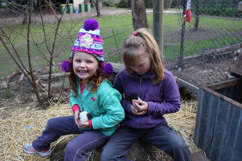 Fernleigh Farmstay & Bike Park - Accommodation Sunshine Coast 3