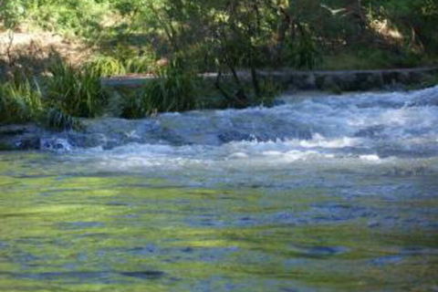 Havans Ecotourist Retreat - Accommodation Sunshine Coast 2