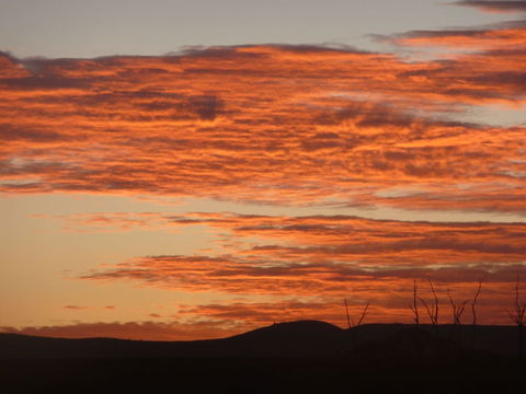 Country Bakehouse Accommodation - Accommodation Sunshine Coast 0