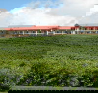 Turners Vineyard Motel and Function Centre - Accommodation Sunshine Coast