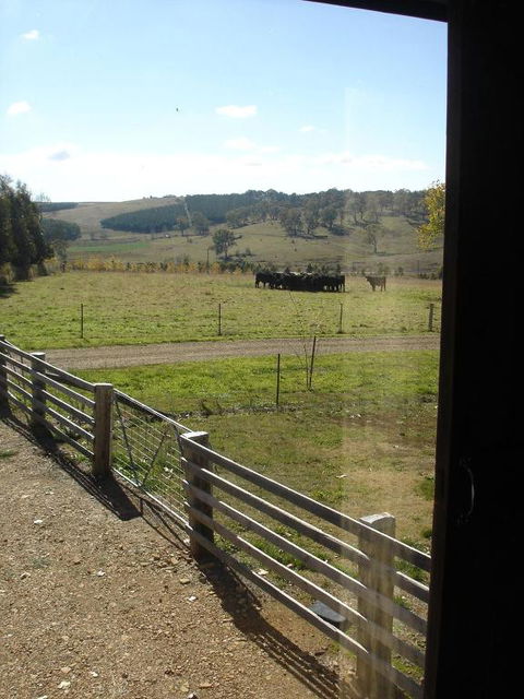 Black Sheep Inn - Accommodation Sunshine Coast 3