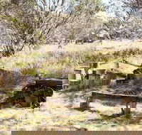 Wrens View - Accommodation Sunshine Coast