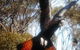 Cooinda Holiday Village - thumb 1