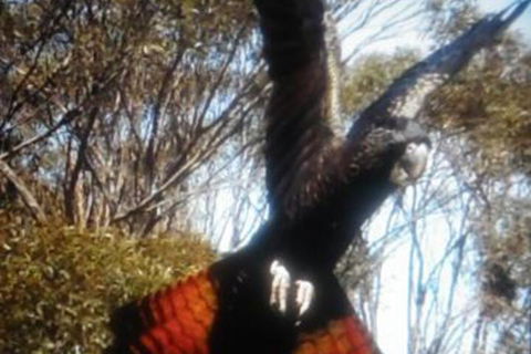 Cooinda Holiday Village - Accommodation Sunshine Coast 1