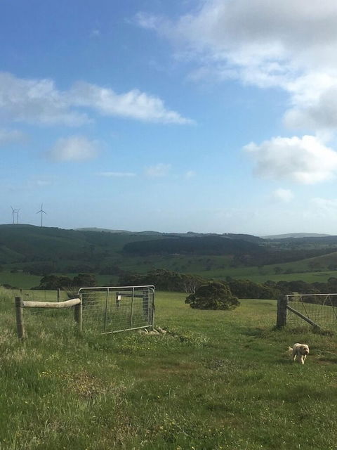 Morella Farm Stay - Accommodation Sunshine Coast 2