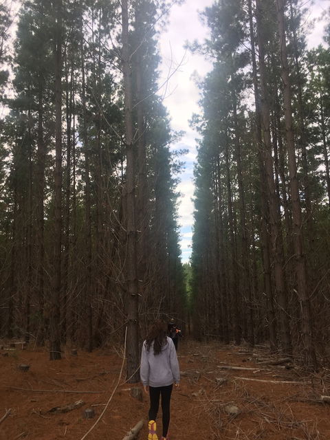 Morella Farm Stay - Accommodation Sunshine Coast 6