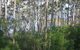 Honeymoon View - thumb 7