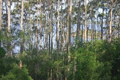 Honeymoon View - Accommodation Sunshine Coast 7