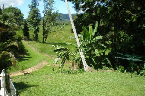 Daintree Village Hideaway - Accommodation Sunshine Coast 5
