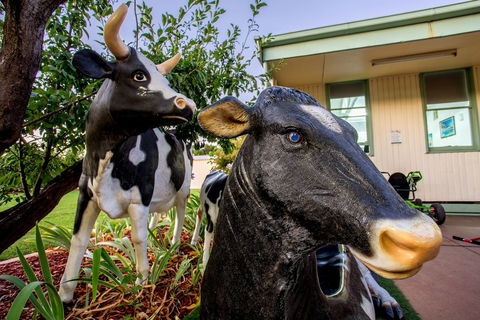 Big4 Shepparton Park Lane - Accommodation Sunshine Coast 0