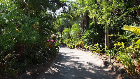 Palm Bay Resort - Accommodation Sunshine Coast 3