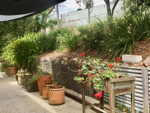 Eumundi Guesthouse & B & B - Accommodation Sunshine Coast 4