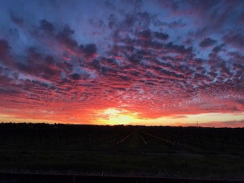 Barossa House - Accommodation Sunshine Coast 4