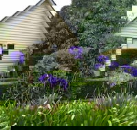 Tamborine Gardens - Accommodation Sunshine Coast