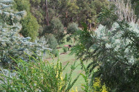 Riverwood Retreat - Accommodation Sunshine Coast 4