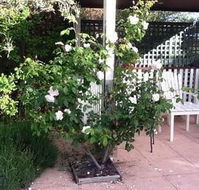 Ellesmere House - Accommodation Sunshine Coast