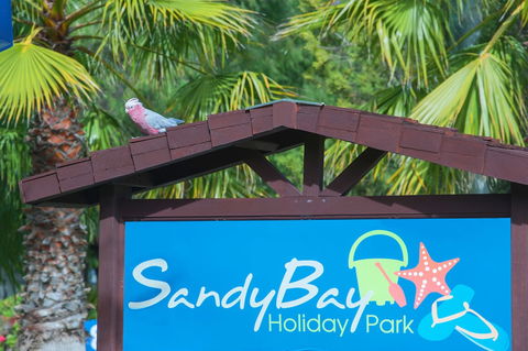 Sandy Bay Holiday Park - Accommodation Sunshine Coast 0