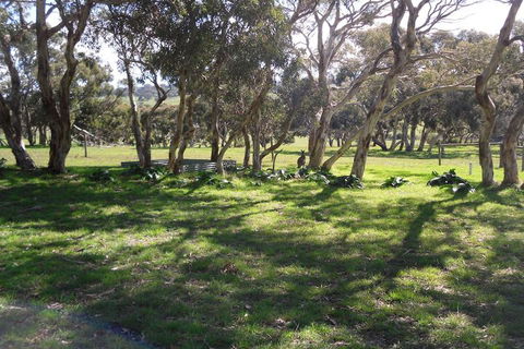 Wenton Farm Holiday Cottages - Accommodation Sunshine Coast 3