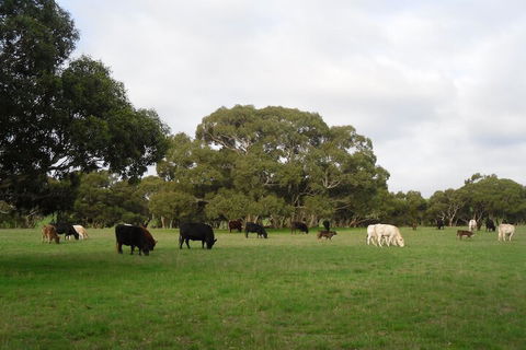 Wenton Farm Holiday Cottages - Accommodation Sunshine Coast 4