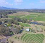 McCaffreys Estate - Accommodation Sunshine Coast