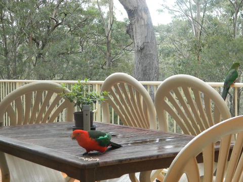 Aqua Vista - Accommodation Sunshine Coast 4