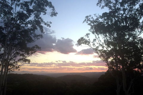 Phoenix Eumundi Bed & Breakfast - Accommodation Sunshine Coast 1