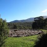 Bornes Hill ACT Accommodation Sunshine Coast